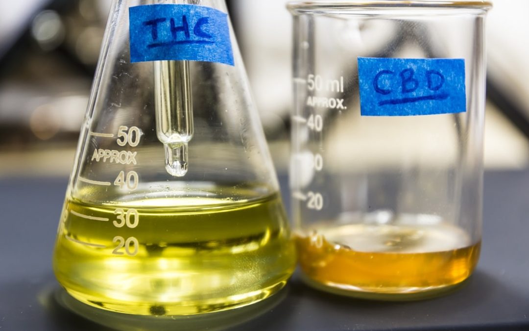 The Differences Between Delta 8 and CBD