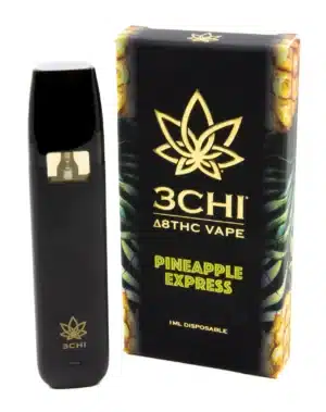 Delta 9o Disposable Vape | Pineapple Express - 1ml | 3CHI