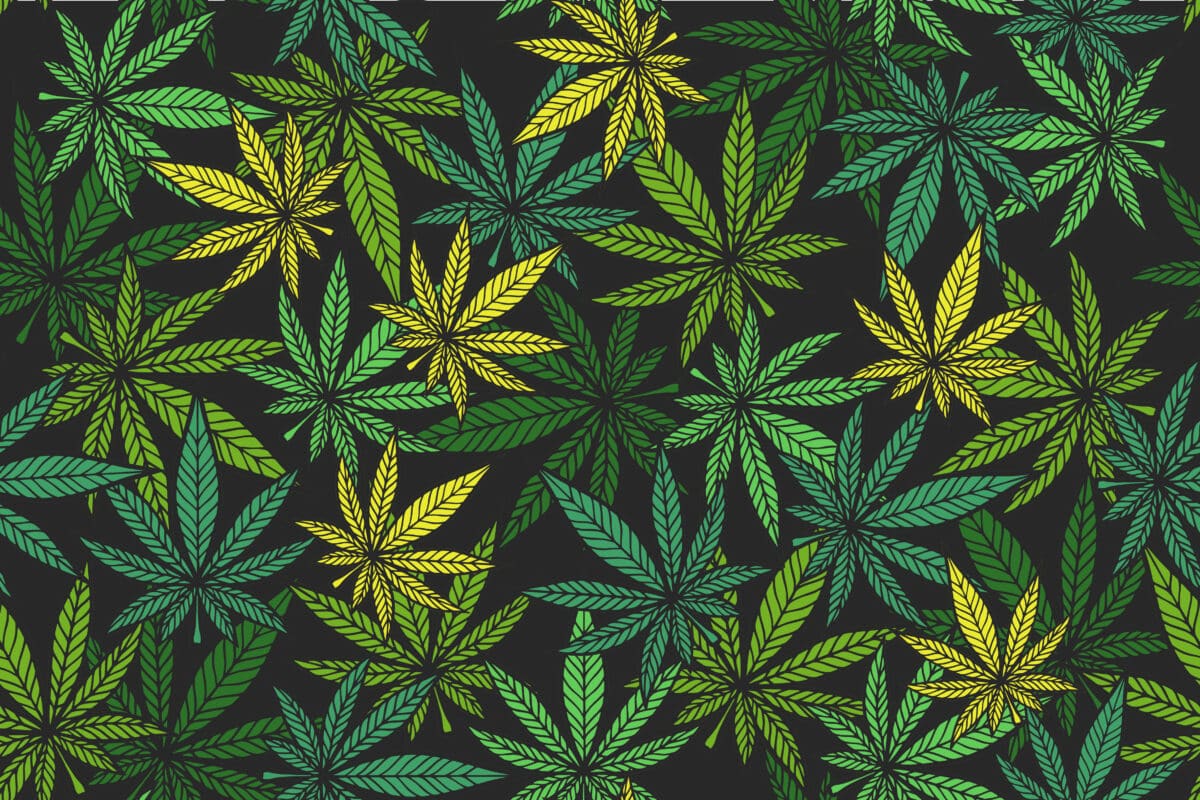 A Comprehensive Guide to Cannabis: Mitigating Effects and Enjoying Benefits