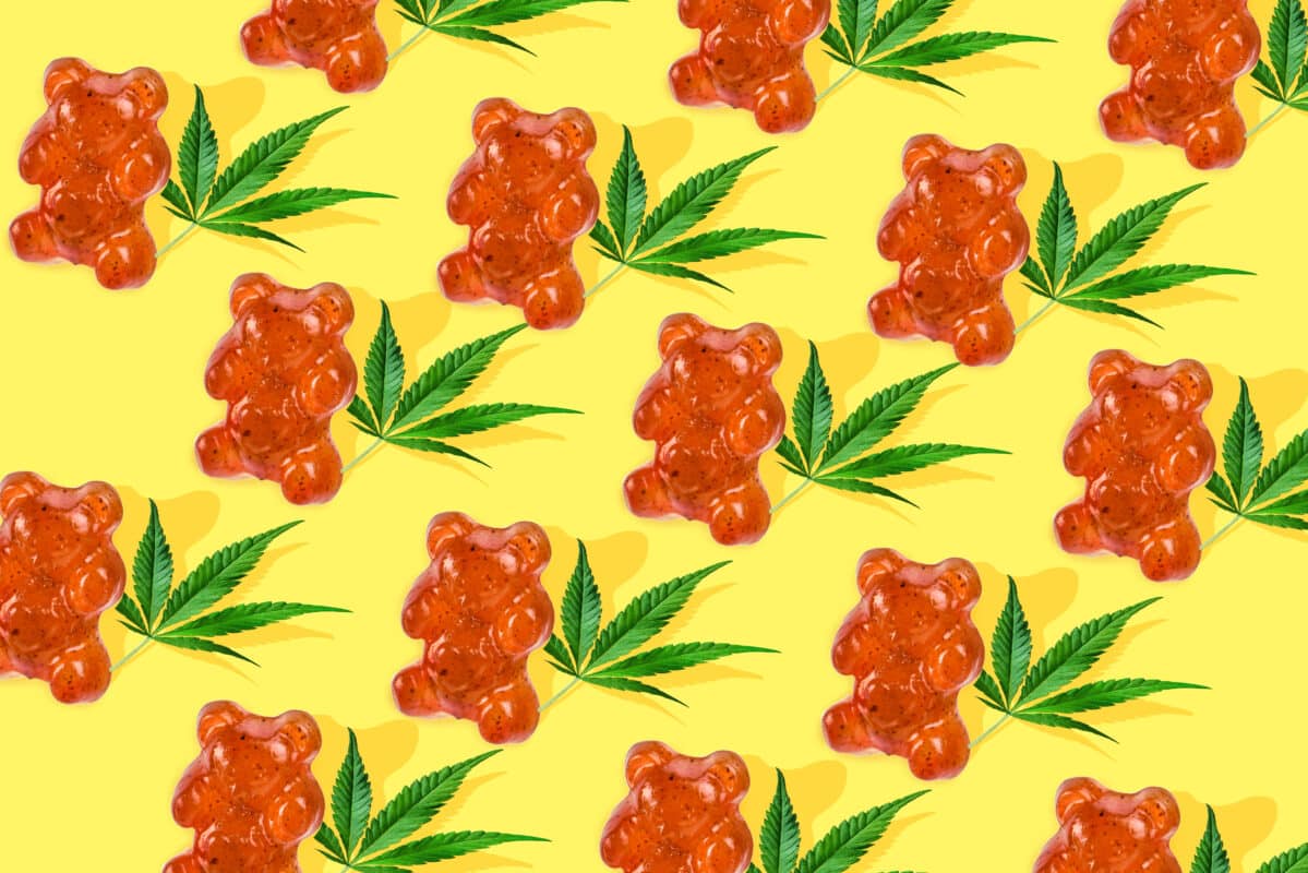 Navigating the Delta 8 Landscape: Delta 8 THC Vapes or Delta 8 THC Gummies, What's Your Preference? Gummies infused with Delta 8, watermelon flavors, all natural flavors, delicious flavors, how many gummies, natural ingredients, generally safe