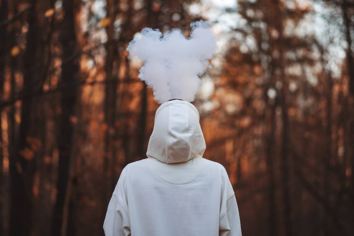 The Ultimate Delta 8 Shopping Guide for First-Time Users Delta 8 Vape, medical conditions, potential risks, harmful chemicals, artificial flavors, significant amounts, healthcare provider, anecdotal accounts, price points, warning letters, medical use, delta 8 shopping guide