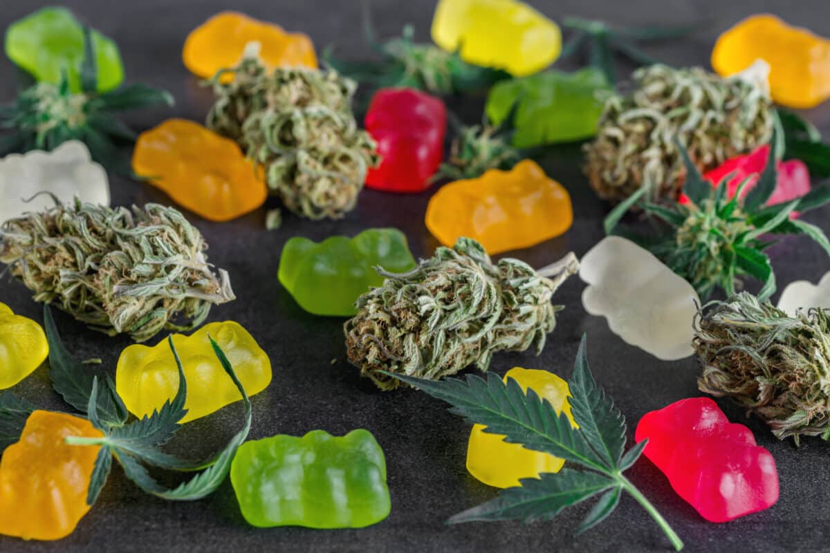 A Deep-Dive into Delta 9 Vapes and Delta 9 Gummies A Deep-Dive into Delta 9 Vapes and Delta 9 Gummies
