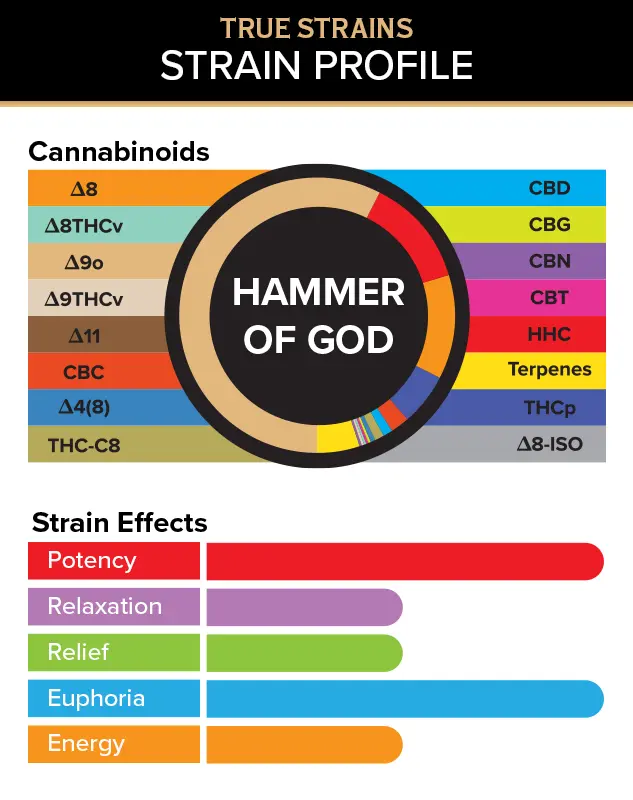 Hammer of God Vape Pod by 3CHI | Hybrid 2ml Vape Pod