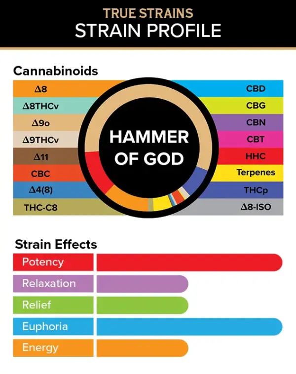 Hammer of God - True Strains - 2ml Vape Pod - Unlock divine and energizing euphoria with this uplifting and harmonizing Hammer of God Hybrid Vape Pod.

REQUIRES A 3CHI POD BATTERY TO USE