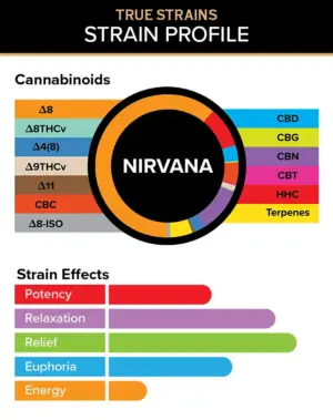 Nirvana - True Strains - 2ml Vape Pod - Delve into a state of peace and relief with this incredibly well-balanced and tranquil Indica blend.

REQUIRES A 3CHI POD BATTERY TO USE