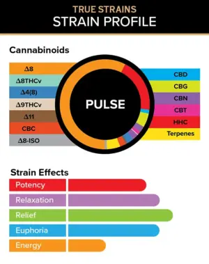 Pulse - True Strains - 2ml Vape Pod - This chill yet social Indica is perfect for getting you in the groove after a long day at work.

REQUIRES A 3CHI POD BATTERY TO USE