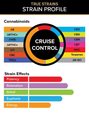 Cruise Control - True Strains - 2ml Vape Pod - De-stress and set happiness to autopilot with this calming Hybrid blend of soothing consistency. REQUIRES A 3CHI POD BATTERY TO USE