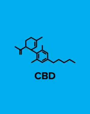 CBD