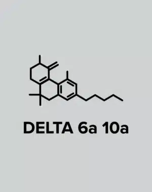 Delta 6a10a