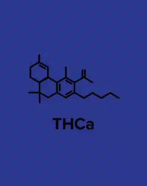 THCA