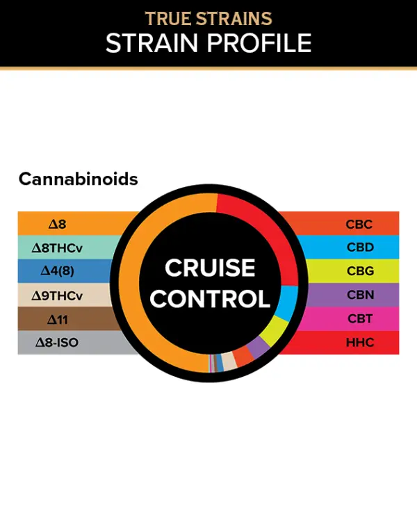 True Strains Gummies - Cruise Control - WARNING: THIS IS A HIGH POTENCY PRODUCT Find your perfect balance with Cruise Control. These 100mg Hybrid gummies provide a steady, enjoyable ride, ideal for unwinding without losing your momentum. They're perfect for those seeking a controlled, yet uplifting experience. 100mg total cannabinoids per gummy Dispensary-grade Potent & long-lasting Vegan & cruelty-free Derived from USA-grown hemp Farm Bill Compliant: <0.3% Delta 9 THC Cannabinoids: Delta 8 THC, HHC, CBD, CBG, CBC, CBN, Delta 9 THCv, Delta 4(8), Delta 8-ISO, Delta 11 THC, Delta 8 THCv, CBT