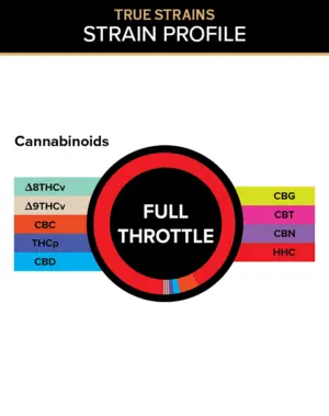 True Strains Gummies - Full Throttle - WARNING: THIS IS A HIGH POTENCY PRODUCT Embrace the rush of Full Throttle. These 100mg Sativa gummies are your ticket to an exhilarating experience, designed for those who crave an energetic, full-speed-ahead adventure. Perfect for a daytime boost, they offer a harmonious blend of vitality and focus. 100mg total cannabinoids per gummy Dispensary-grade Potent & long-lasting Vegan & cruelty-free Derived from USA-grown hemp Farm Bill Compliant: <0.3% Delta 9 THC Cannabinoids: HHC, CBC, CBD, CBG, THCP, Delta 8 THCv, Delta 9 THCv, CBN, CBT