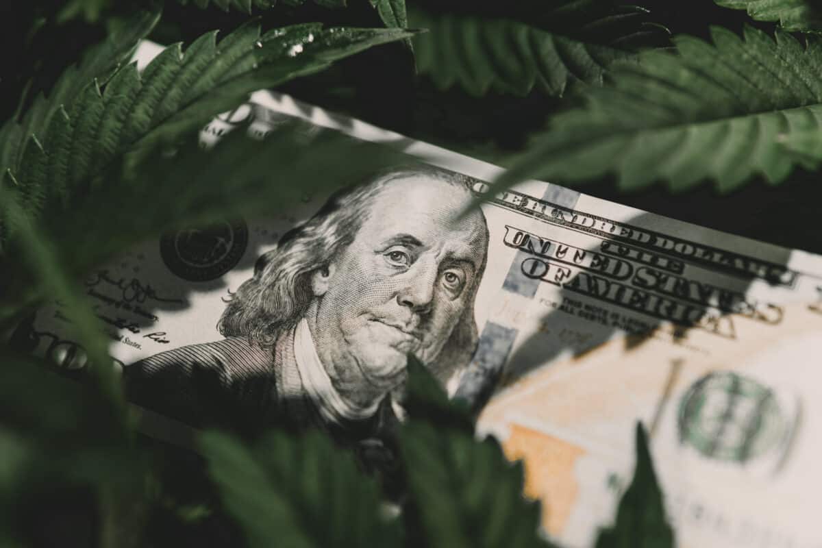 Navigating the Boom of Hemp-Derived Cannabinoid Sales in the US