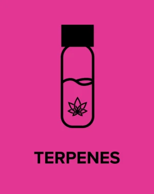 Terpenes