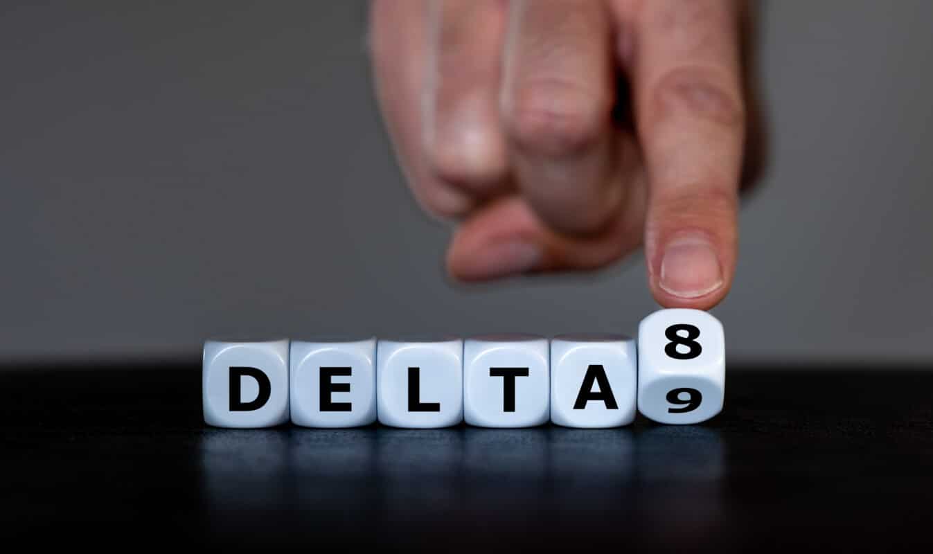 Explaining the Role of Terpenes in Delta 8 THC Products