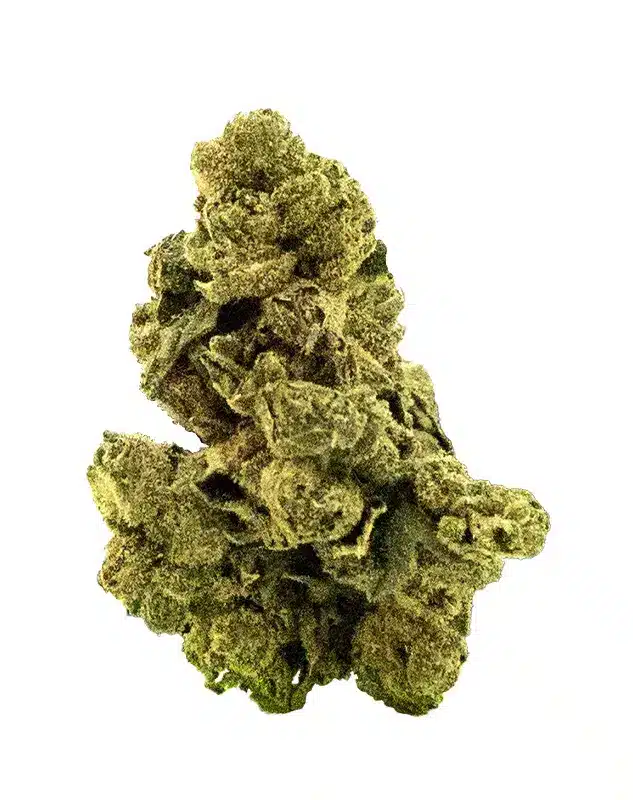 THCA Flower - Durban Poison