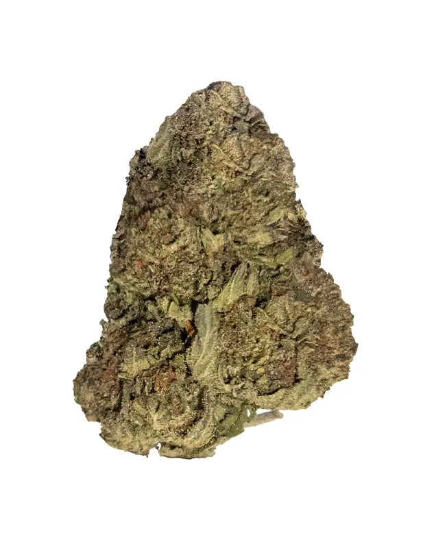 THCA Flower - Lemon Chello