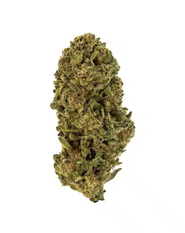 THCA Flower - Pure Michigan