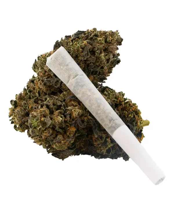 THCA Diamond ７G Diamond Heights Jealousy THC-A Flower - 7g - Everything 420