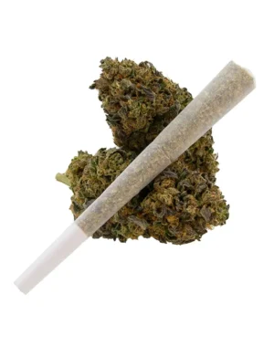 1.5g THCA Pre-Roll - Our new 1.5g pre-rolls come filled with the highest-quality THCA flower. We did the work for you so you can simply grab one and relax. With various strains for desired experiences, we have a little something for everybody. Quantities: 20 ct. individual doob tubes, 50 ct. loose 3 different strains: Blue Dream, Northern Lights, Pineapple Express Third-party lab tested Dispensary grade Farm Bill Compliant