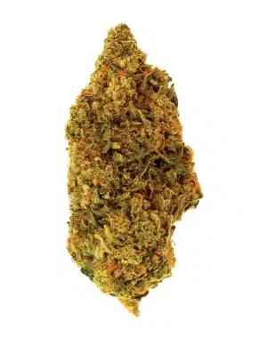 【ぶりぶり君 BUDS】3g CRDH 300mg OGKUSH ＋ Garlic Budder Flower - 3.5g - HHG - Suncrafted Cannabis D
