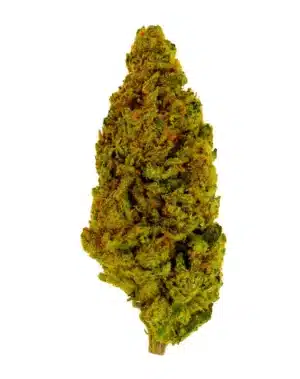 THCA Flower - Super Lemon Haze - 3.5g - 3CHI