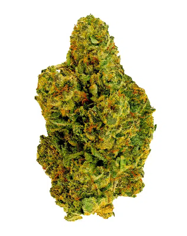 THCA Flower - White Runtz - 3.5g - This balanced hybrid starts in the back of your neck and head, ultimately overcoming the rest of your body, giving you a long-lasting high that helps you kick back into relaxation in no time at all. Genetics: Zkittlez x Gelato Strain: Hybrid Flavor Profile: Fruity, Candy, Sweet Feelings: Creative, Calm, Tingly THCA Content: 27.3%