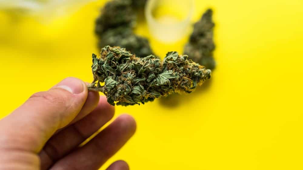 How to Use THCA Flower Safely and Effectively