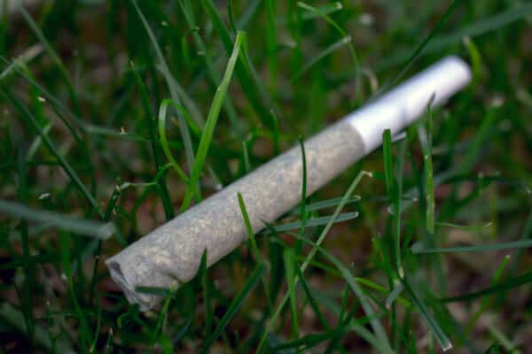 Decarboxylation: Why Heat Matters When Using THCA Flower