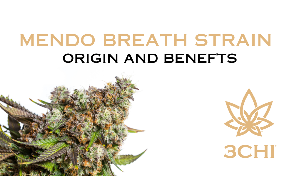 Mendo Breath Strain: Its Origin and Effects Explained