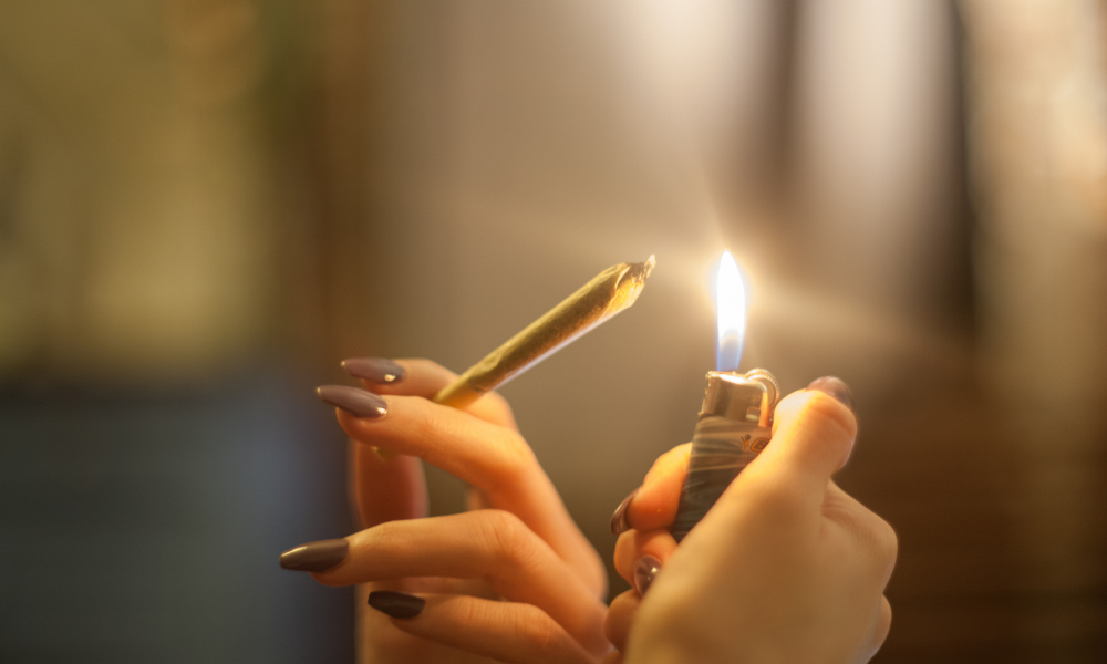 THCA Flower Prerolls: A Convenient and Potent Way to Enjoy Cannabis