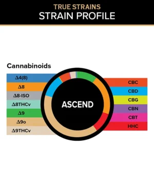 True Strains Gummies - Ascend - WARNING: THIS IS A HIGH POTENCY PRODUCT
Reach new heights with Ascend. These 100mg Sativa gummies offer an elevated, upbeat experience, ideal for rising above the routine and moving through your day with focus and confidence. They're perfect for those seeking energy, clarity, and inspired momentum.