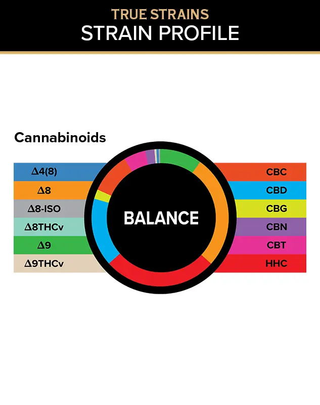True Strains Gummies - Balance - WARNING: THIS IS A HIGH POTENCY PRODUCT
Find your center with Balance. These 100mg Hybrid gummies provide a smooth, even experience, ideal for staying relaxed while keeping your day on track. They're perfect for those seeking a steady blend of calm, comfort, and uplifted ease.