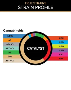 True Strains Gummies - Catalyst - WARNING: THIS IS A HIGH POTENCY PRODUCT
Ignite your momentum with Catalyst. These 100mg Sativa gummies create a bright, uplifting experience with a smooth sense of wonder. Ideal for creativity, connection, and inspired daytime moments, they're a great way to make the ordinary feel extraordinary.