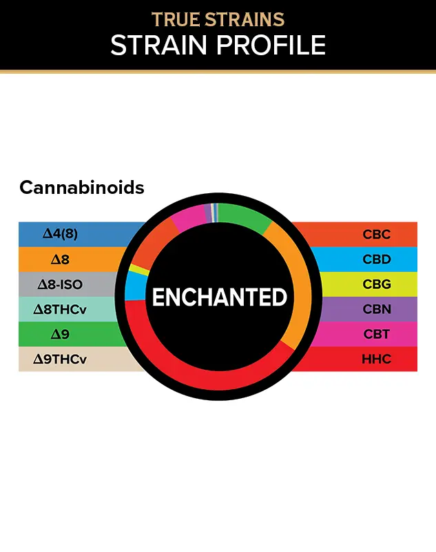 True Strains Gummies - Enchanted - WARNING: THIS IS A HIGH POTENCY PRODUCT
Step into something magical with Enchanted. These 100mg Sativa gummies create a bright, uplifting experience with a smooth sense of wonder.. They're perfect for those seeking an elevated escape with a playful, energetic edge.
