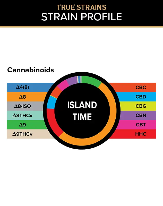 True Strains Gummies - Island Time - WARNING: THIS IS A HIGH POTENCY PRODUCT
Slow things down with Island Time. These 100mg Hybrid gummies offer a laid-back, sun-soaked experience made for unwinding without checking out. Ideal for mellow afternoons, relaxed weekends, and carefree moments, they bring a smooth escape into calm, easy vibes.