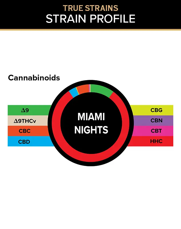 True Strains Gummies - Miami Nights - WARNING: THIS IS A HIGH POTENCY PRODUCT
Light up the night with Miami Nights. These 100mg Sativa gummies bring a vibrant, social energy that keeps the night feeling bright and alive. Ideal for parties, music, and after-dark adventures, they offer a bold rush of mood, movement, and excitement.