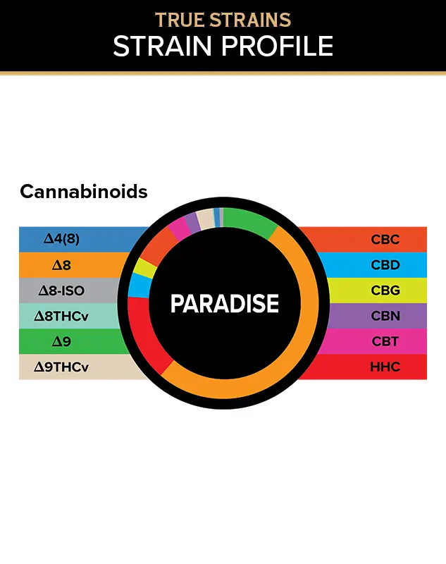 True Strains Gummies - Paradise - WARNING: THIS IS A HIGH POTENCY PRODUCT
Escape into Paradise. These 100mg Indica gummies offer a deeply soothing experience, ideal for settling into comfort and leaving the noise of the day behind. They're perfect for those seeking a peaceful retreat with a calm, blissful finish.