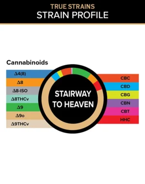 True Strains Gummies - Stairway to Heaven - WARNING: THIS IS A HIGH POTENCY PRODUCT
Rise above the ordinary with Stairway to Heaven. These 100mg Sativa gummies deliver an elevated, soaring experience built for bright moods and big energy. Ideal for daytime adventures or creative momentum, they help turn an ordinary moment into something higher.
