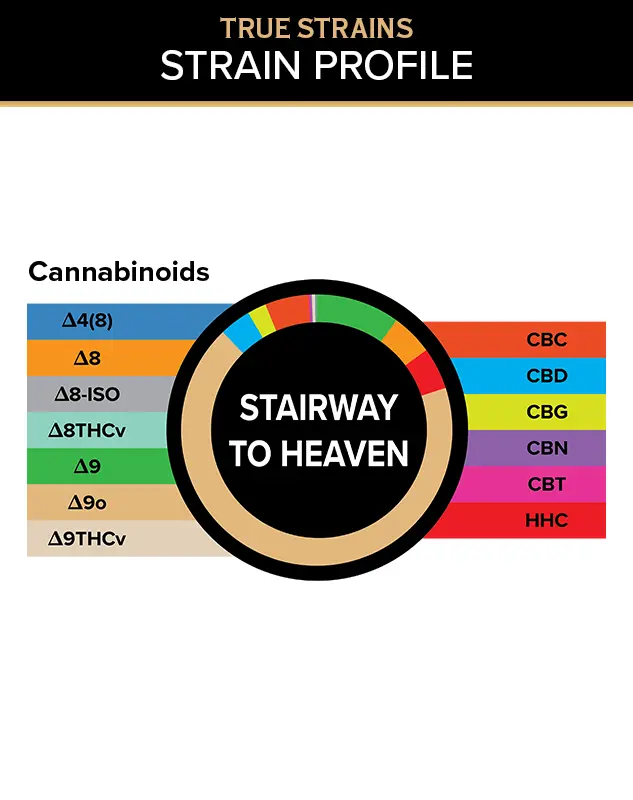 True Strains Gummies - Stairway to Heaven - WARNING: THIS IS A HIGH POTENCY PRODUCT
Rise above the ordinary with Stairway to Heaven. These 100mg Sativa gummies deliver an elevated, soaring experience built for bright moods and big energy. Ideal for daytime adventures or creative momentum, they help turn an ordinary moment into something higher.