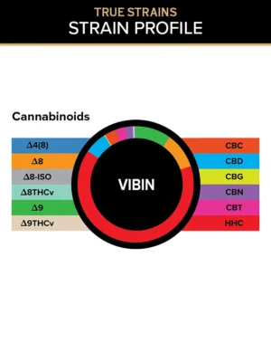 True Strains Gummies - Vibin - Get in your perfect groove with Vibin. These 25mg Sativa gummies are crafted for an upbeat experience, ideal for keeping things easy, social, and in motion. They're perfect for those with standard to moderate tolerances seeking a happy daytime lift and a smooth feel-good rhythm.