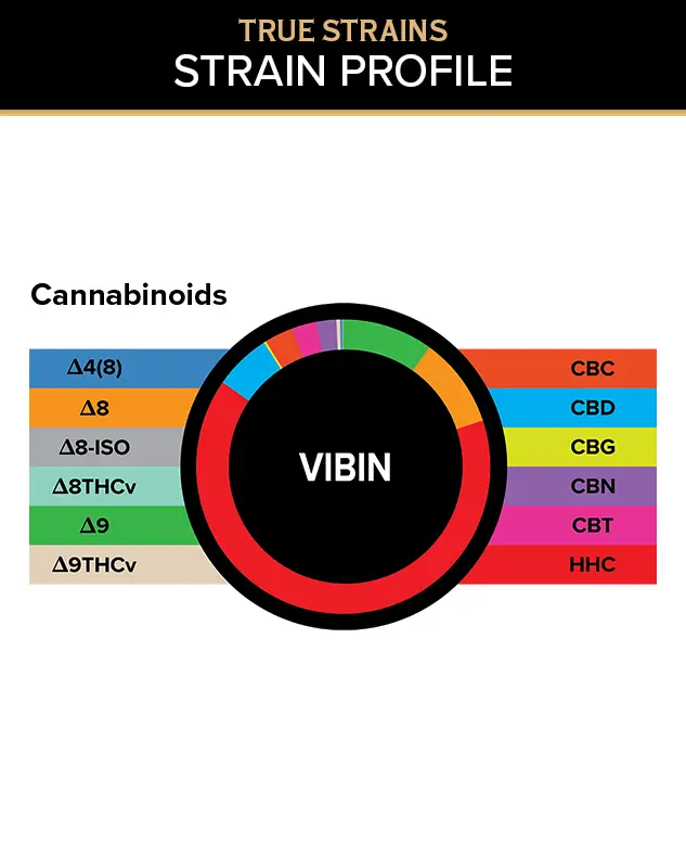 True Strains Gummies - Vibin - Get in your perfect groove with Vibin. These 25mg Sativa gummies are crafted for an upbeat experience, ideal for keeping things easy, social, and in motion. They're perfect for those with standard to moderate tolerances seeking a happy daytime lift and a smooth feel-good rhythm.